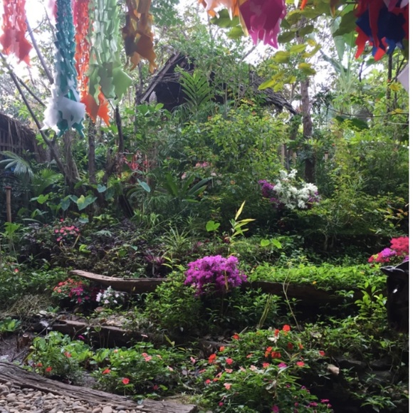 Meet your Posher, Kate - Picture 1 of 1